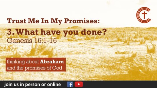 3. What have you done?