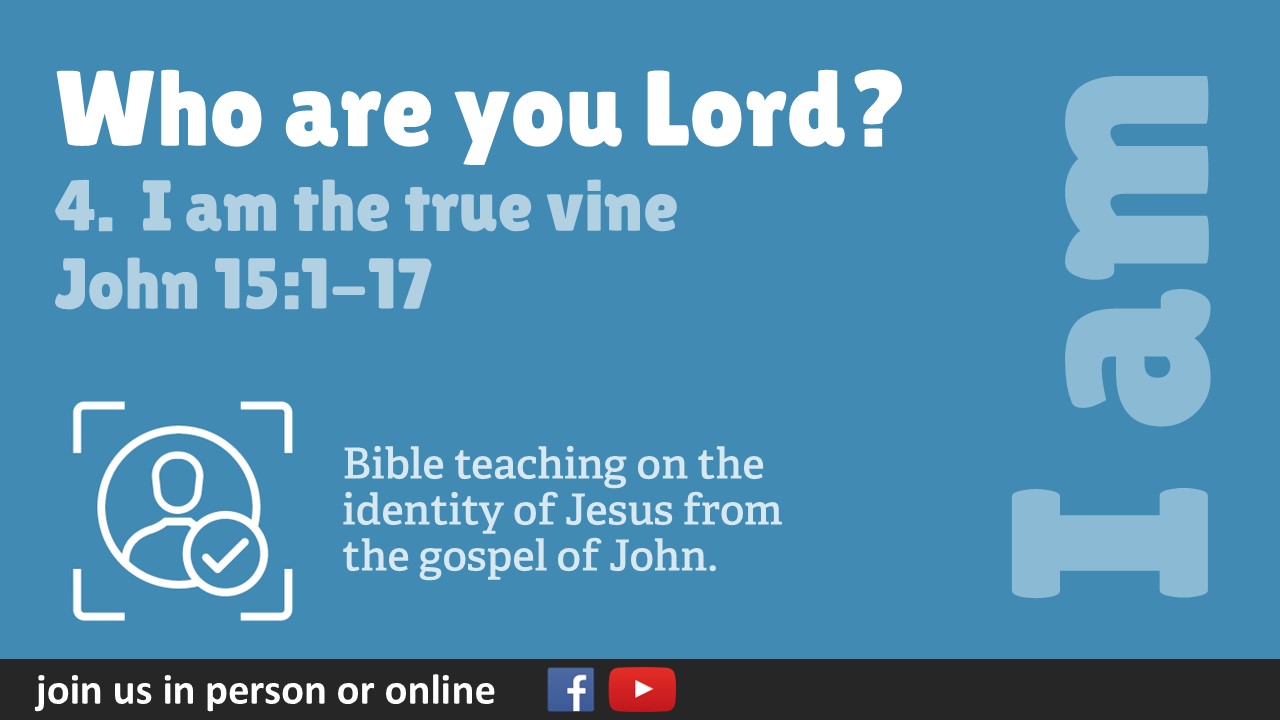 7. I am the true vine