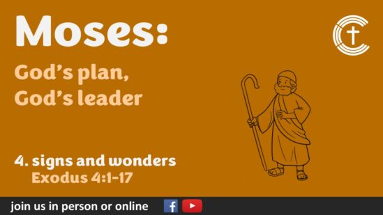 4. signs and wonders