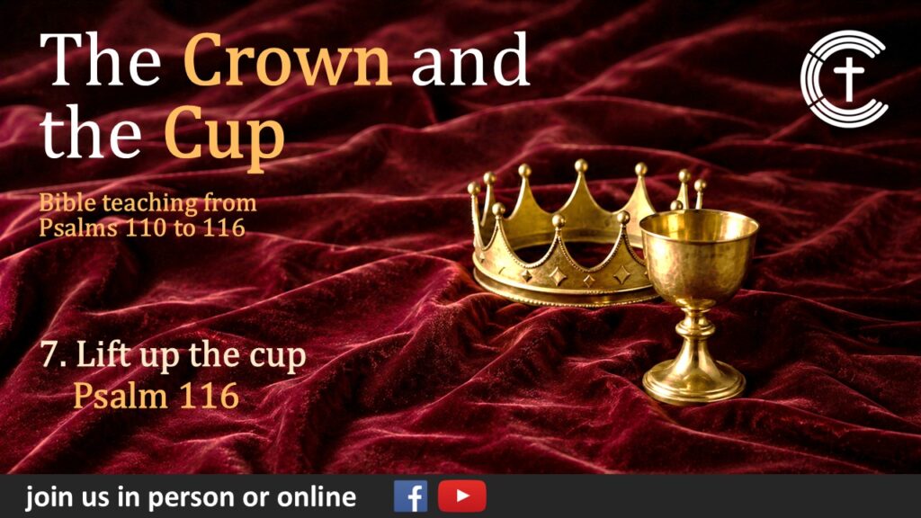 7. Lift up the cup!